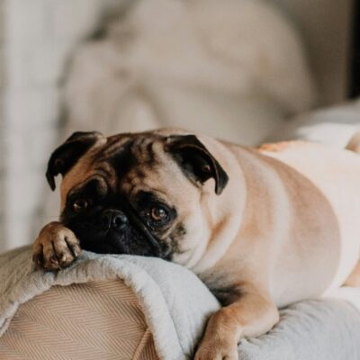 sarandy-westfall-VYcDFMSkUAA-unsplash